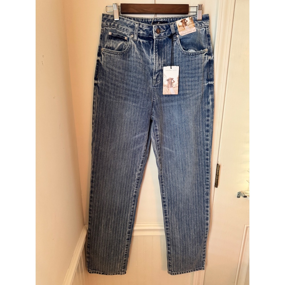 Sincerely Jules Stripe 90s Straight Leg Jeans Blue Herringbone Denim‎ Size 5/27